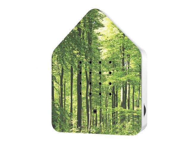 Zwitscherbox Wald