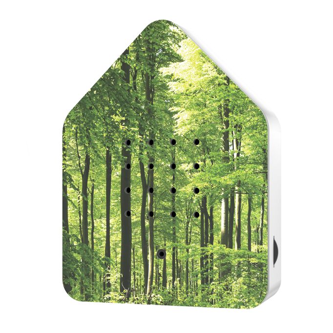 Zwitscherbox Wald